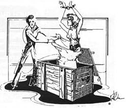 Magic Substitution Trunk Plans