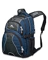 High Sierra Swerve Backpack