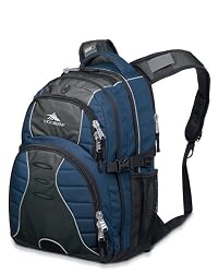 High Sierra Swerve Backpack