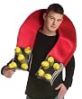 Adult Chick Magnet Costume - Adult Std.