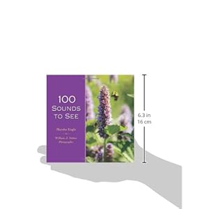 100 Sounds to See