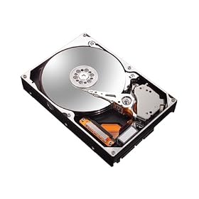 Maxtor DiamondMax 10 - Disque Dur Interne - 160 Go