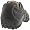 Skechers Citywalk Midnight