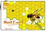 大切な貴重品をスリから守る！RedCard［レッドカード］/ハチ