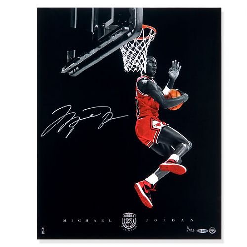Michael Jordan Autographed Chicago Bulls 2009 Hall of Fame - Cradle Dunk