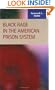 Black Rage in the American Prison System (Criminal Justice: Recent Scholarship)