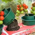 Garden Growpot Growbag Watering Pot -...