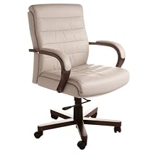 Leather Mid-Back Chair - Earthstone