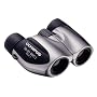 Olympus 10x21 DPC-I Fernglas Silber mit Tasche