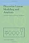 Piecewise Linear Modeling and Analysis