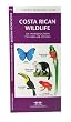 Costa Rican Wildlife: An Introduction to Familiar Species (A Pocket Naturalist Guide)