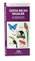 Costa Rican Wildlife: An Introduction to Familiar Species (International Nature Guides)