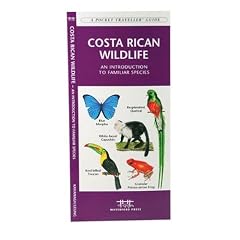 Costa Rican Wildlife: An Introduction to Familiar Species