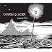 Carbon Glacier