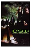 CSI: Crime Scene Investigators (Las Vegas Cast on Road) TV Poster Print - 11\