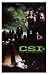 CSI: Crime Scene Investigators (Las Vegas Cast on Road) TV Poster Print - 11 X 17