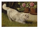 A White Persian Cat with a Ladybird Giclee Poster Print, 32x24
