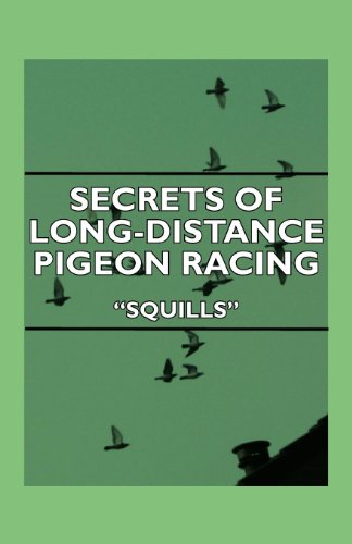 Secrets Of Long-Distance Pigeon Racing