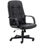 Ergonomic Office Chair - High Back Contemporary Executive Swivel Chair - H8021-GG