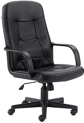 Ergonomic Office Chair - High Back Contemporary Executive Swivel Chair - H8021-GG