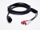 WxWorx AUDRCA RCA Audio Cable for use with WR-10 Receiver