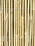 Bamboo Cane Screening 4m x 2m