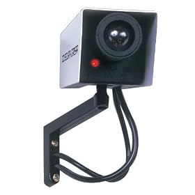 �x���[�t(Beruf) �_�~�[�E�h�ƃJ���� 91000