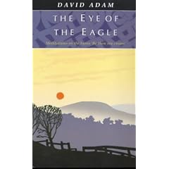The Eye of the Eagle