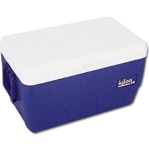 Max Cold 50 Qt Cooler