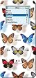 Butterfly Design - Apple iPod nano (1st Generation) 1GB 2GB 4GB Hard Case iJacket - Shock Absorbent Hard Protective Faceplate Cover + FREE iPod nano Screen and Surface Protector Shield