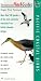 Pacific Coastal Birds: More than 100 species - all the most commonly seen birds from British Columbia to Baja (Peterson FlashGuides)