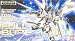 Gundam ZGMF-X20A Strike Freedom Gundam Full Burst Mode MG 1/100 Scale