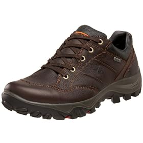 ECCO Mens Bergen Lo GTX Hiking Shoe by 