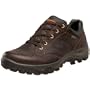 ECCO Men's Bergen Lo GTX Hiking Shoe,Coffee/Black,42 EU (US Men's 8-8.5 M)
