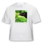 Just One More KISS - Toddler T-Shirt (4T)