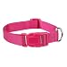 Zack & Zoey 14 to 20-Inch Nylon Dog Neck Collar, Raspberry Sorbet