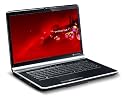 Packard Bell EasyNote LJ71-SB-090GE 43,9 cm (17,3 Zoll) Notebook (AMD Turion 64 X2 II M600, 2,4GHz, 4GB RAM, 500GB HDD, ATI 4650, Win7 HP, Blu-ray) schwarz