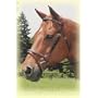 Kincade Lined Event Bridle with Rubber Reins