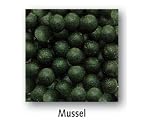 Browning Hybrid Mini Boilies 8mm Mussel 50g