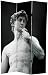 Large Dimension Wall Art Room Divider - 6 ft. Double Photo Print Michelangelo's David & Roman Coliseum Canvas Screen