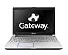 Gateway ID59C03u 15.6-Inch Laptop (Arctic Silver)