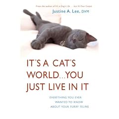 It's a Cat's World