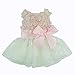 Fitwarm Pink Rose Lace Pet Dog Wedding Dress Bride Formal Clothes Tutu Vest, X-Small