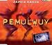 Pemulwuy