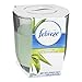 Febreze Air Freshener Candle, Meadows & Rain Air Freshener (5.5 Oz) (Pack of 6)