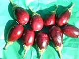 Ratna - eggplant seed packet