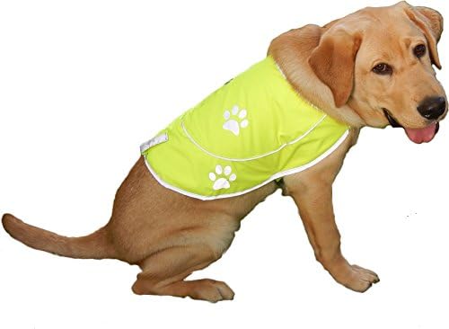 Dog Hunting Vest Reflective Dog Vest - Dog Safety Vest with Elastic Strap, Comfortable Dog Reflective Vest, Reflective Dog Safety Jacket High Visibility Vest for Dogs - Yellow, X-Large