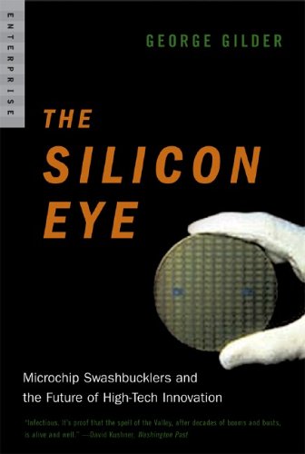 The Silicon Eye: Microchip Swashbucklers and the Future of High-Tech Innovation (Enterprise)