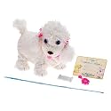 Puppy Grows and Knows Your Name - Poodle