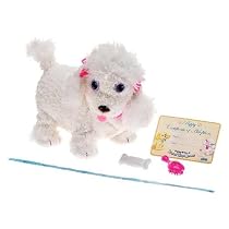 Puppy Grows and Knows Your Name - Poodle